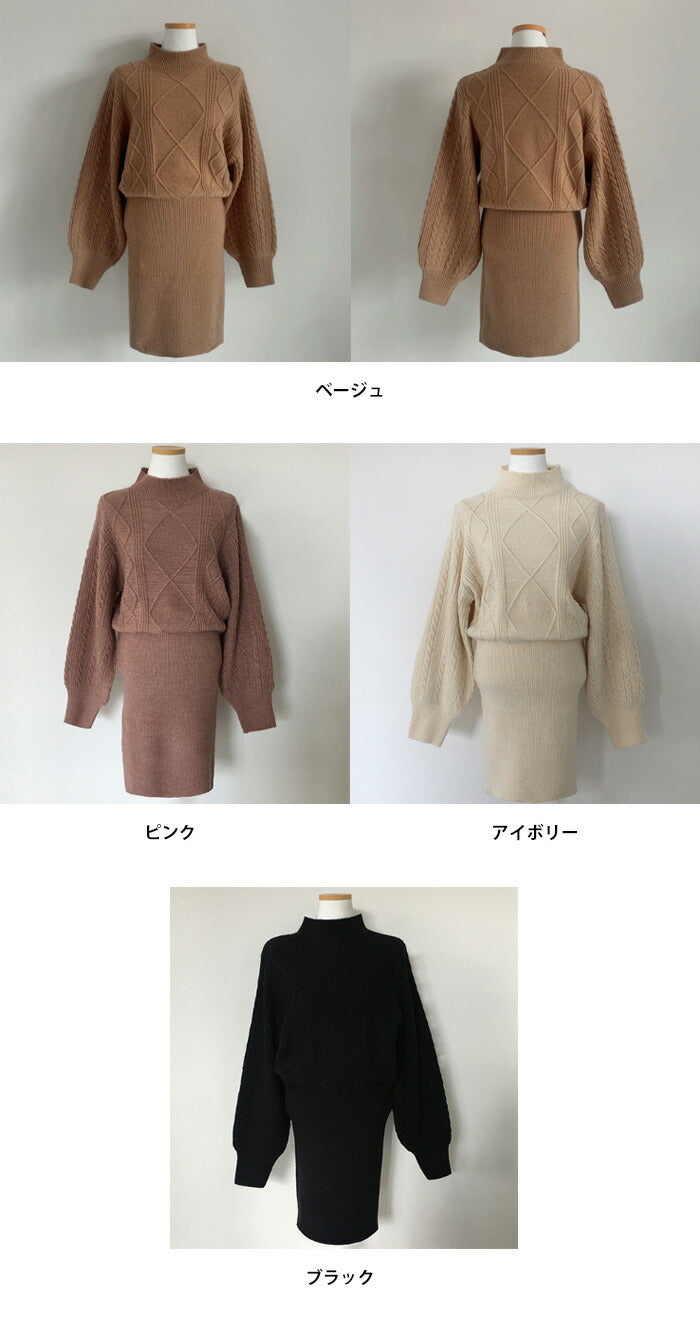 Beidelli(ベイデリ)ハイネックニット+ミニスカート