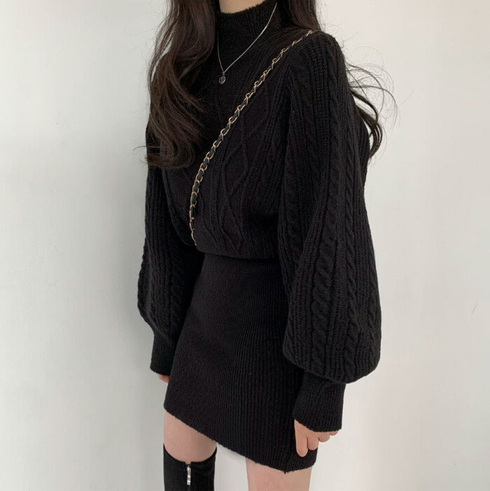 Beidelli(ベイデリ)ハイネックニット+ミニスカート
