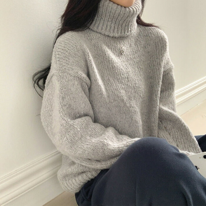 Beidelli(ベイデリ)ルーズフィットリブタートルネックニット