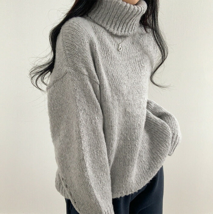 Beidelli(ベイデリ)ルーズフィットリブタートルネックニット
