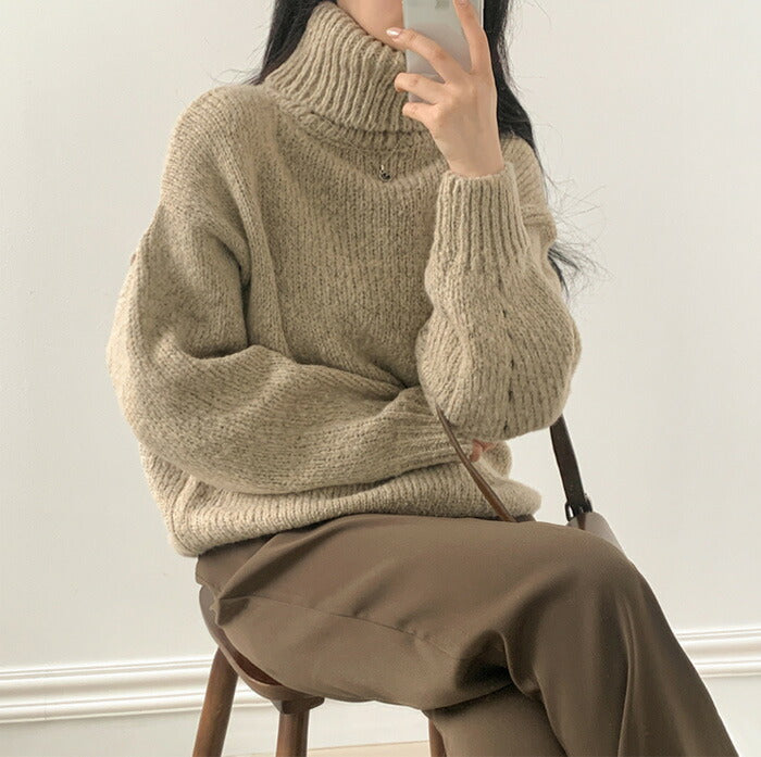 Beidelli(ベイデリ)ルーズフィットリブタートルネックニット