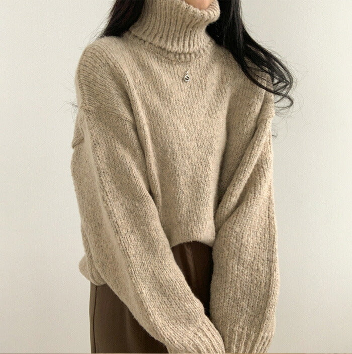 Beidelli(ベイデリ)ルーズフィットリブタートルネックニット