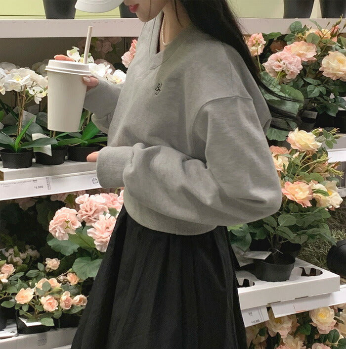 Beidelli(ベイデリ)パステルVネッククロップドスウェット