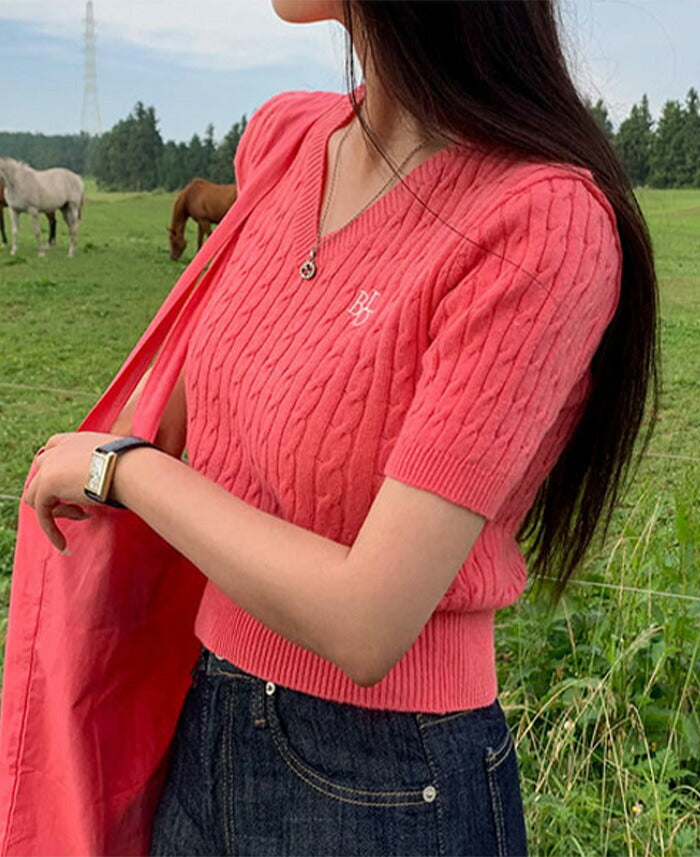 Beidelli(ベイデリ)BELLIDEワンポイント刺繍ケーブル半袖ニット