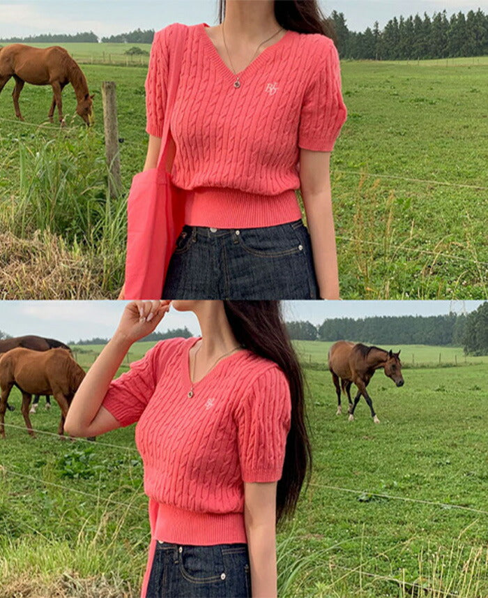 Beidelli(ベイデリ)BELLIDEワンポイント刺繍ケーブル半袖ニット