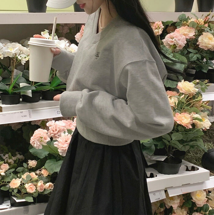 Beidelli(ベイデリ)[BELLIDE MADE] パステルVネッククロップドスウェット