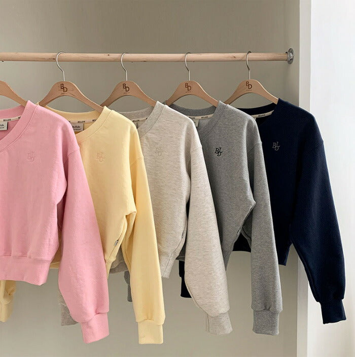 Beidelli(ベイデリ)[BELLIDE MADE] パステルVネッククロップドスウェット