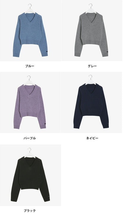 SONYUNARA(ソニョナラ)Vネッククロップニット